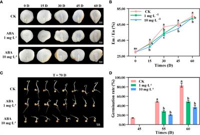 Exogenous abscisic acid prolongs the dormancy of recalcitrant seed of Panax notoginseng